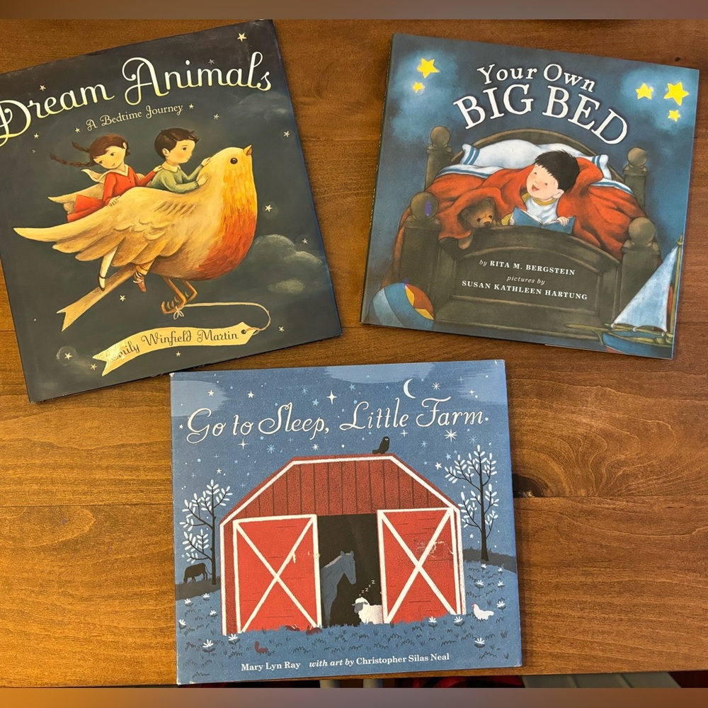 Set of 3 bedtime books